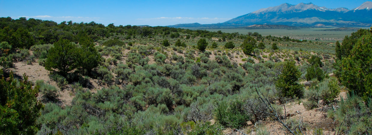 Colorado hunting land for sale