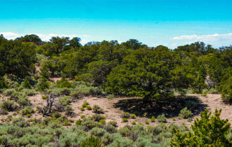 hunting land for sale in Colorado