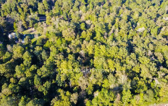 Over 3/4 Acres of Wooded Freedom