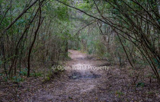 Wooded and Secluded Private Lot